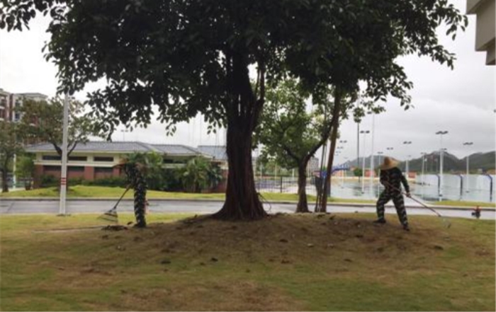 b6896272c650256e699abe785bd1f99e.jpg 788_副本.jpg