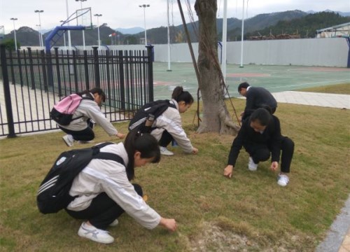 481607038706662237_副本.jpg