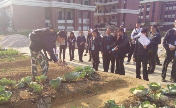 1233_副本.jpg