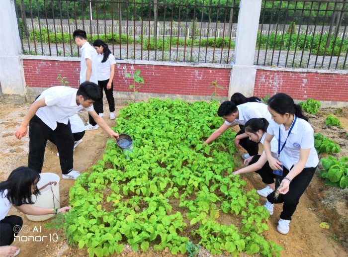 1233_副本.jpg