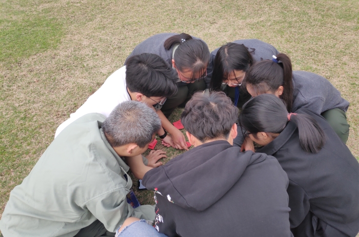 QQ图片20190315102402_副本.jpg