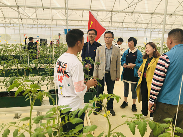 参观碧桂园连樟村现代农业科技示范园.jpg